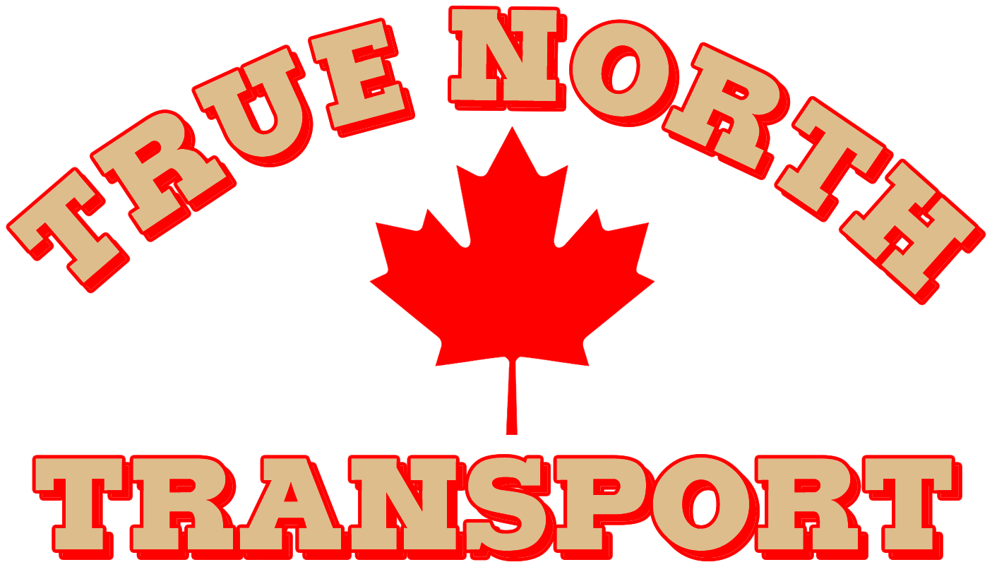 true north logo